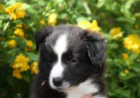 IMG_0476 50